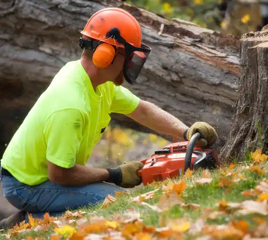 tree services Turnersville